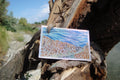 Cataract Canyon Sticker
