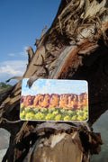 Labyrinth Canyon Sticker