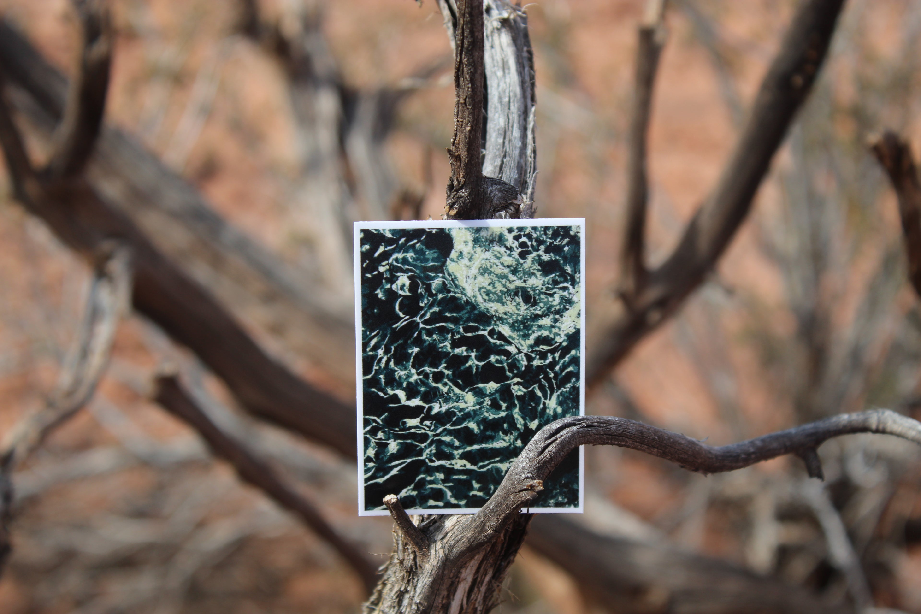 “Stillwater” Sticker